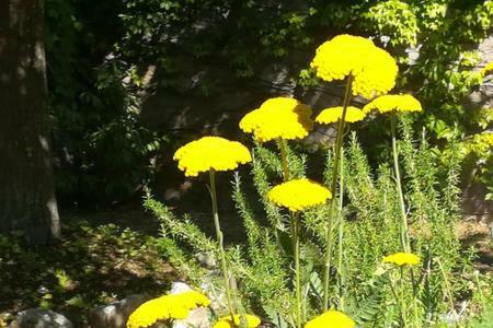 B&B Villaggio Sole Sulmona Zewnętrze zdjęcie